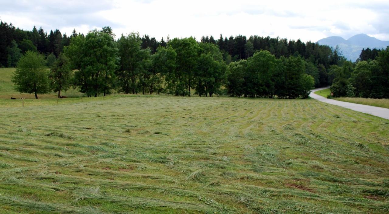 Farm Stay Rotovnik - Plesnik Slovenj Gradec Buitenkant foto