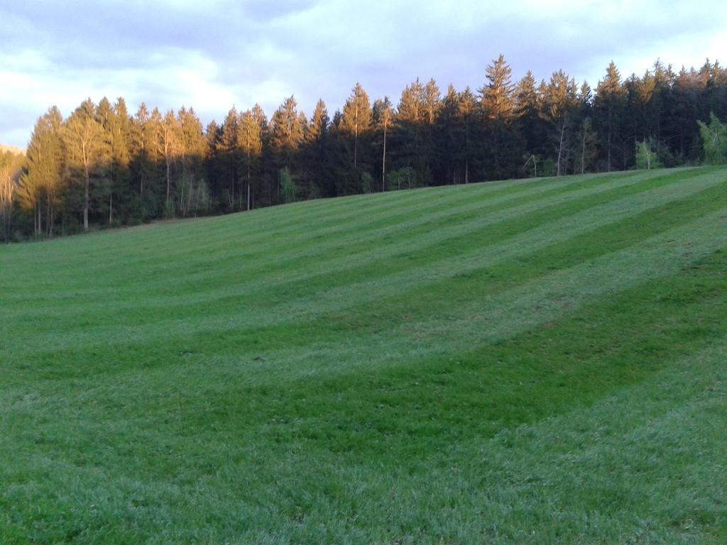 Farm Stay Rotovnik - Plesnik Slovenj Gradec Buitenkant foto