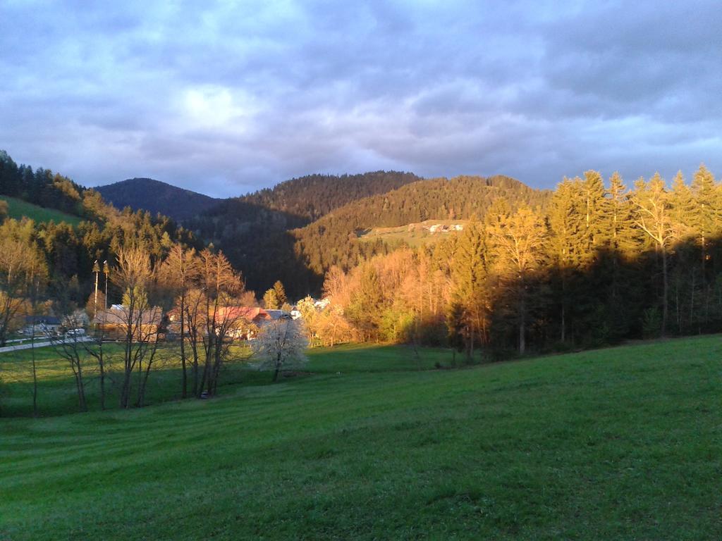 Farm Stay Rotovnik - Plesnik Slovenj Gradec Buitenkant foto