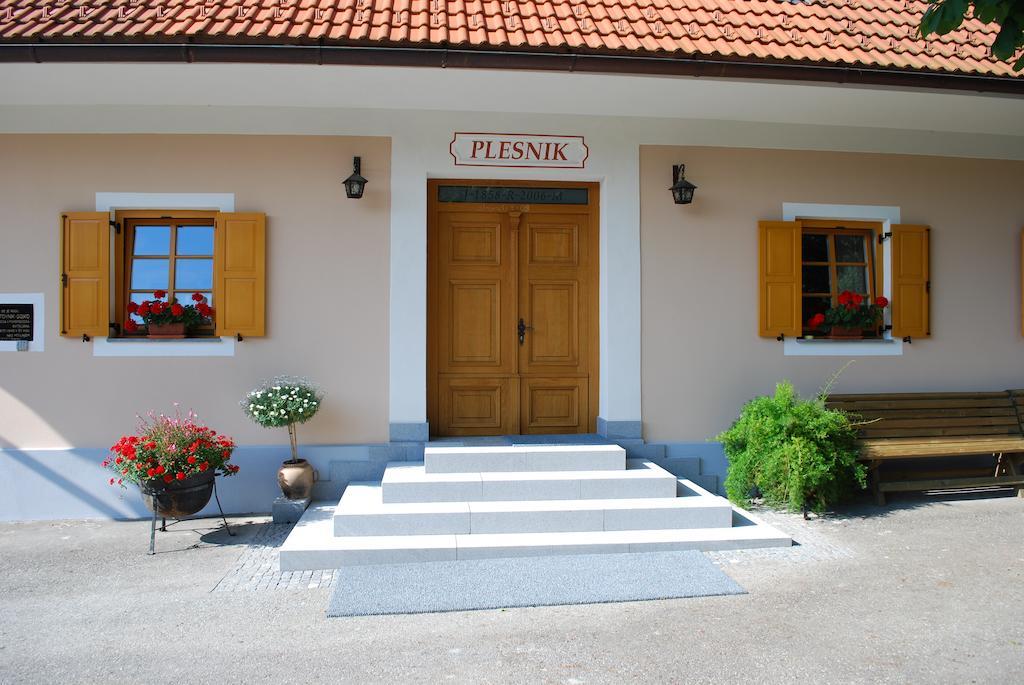 Farm Stay Rotovnik - Plesnik Slovenj Gradec Buitenkant foto